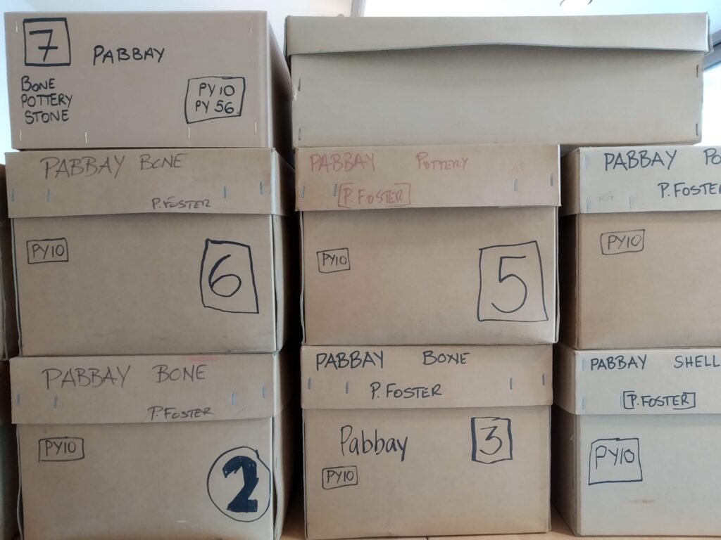 The assemblage of Dunan Ruadh in Pabbay comprises more than seven boxes of finds ranging mostly of pottery and animal bone
