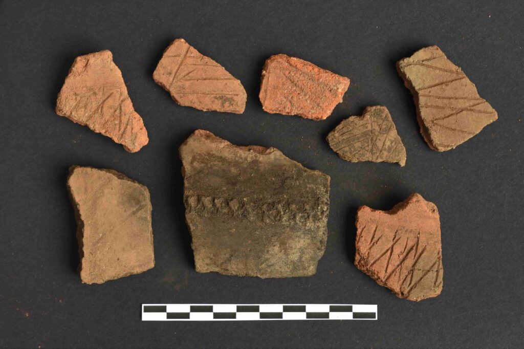A selection of Iron Age pottery sherds with different types of decoration